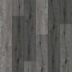 CHARCOAL ALDER